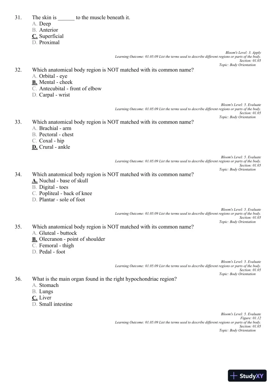 Seeley's Principles of Anatomy and Physiology 2nd Edition Test Bank, page 14
