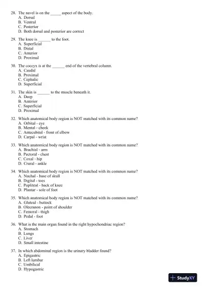Seeley's Principles of Anatomy and Physiology 2nd Edition Test Bank - Page 5 preview image