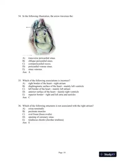 Clinically Oriented Anatomy 7th Edition Test Bank - Page 11 preview image