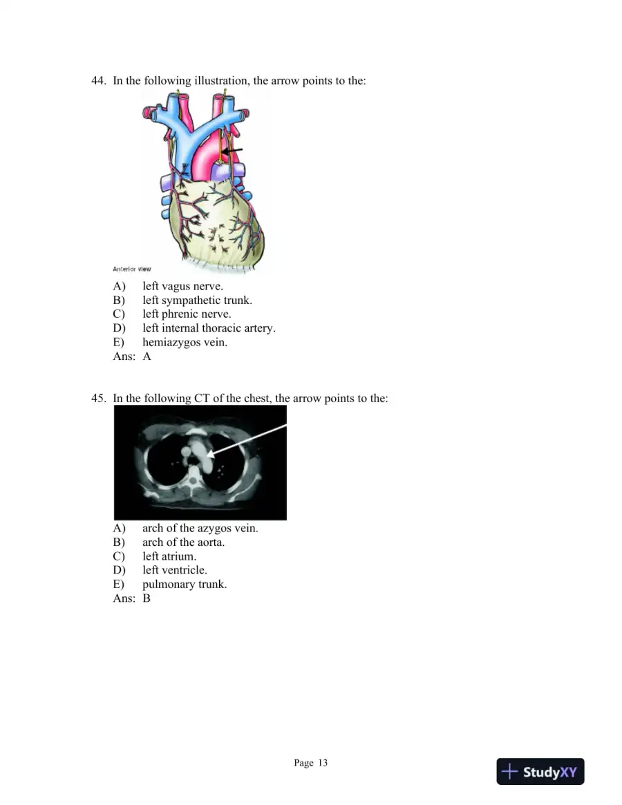 Clinically Oriented Anatomy 7th Edition Test Bank, page 14