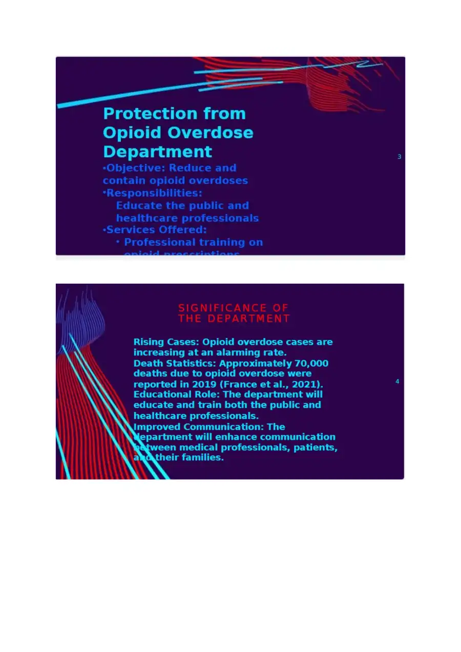 MHACB599 Video Presentation, page 2