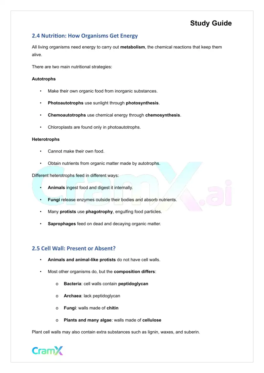 Plant Biology - Systematics, page 5