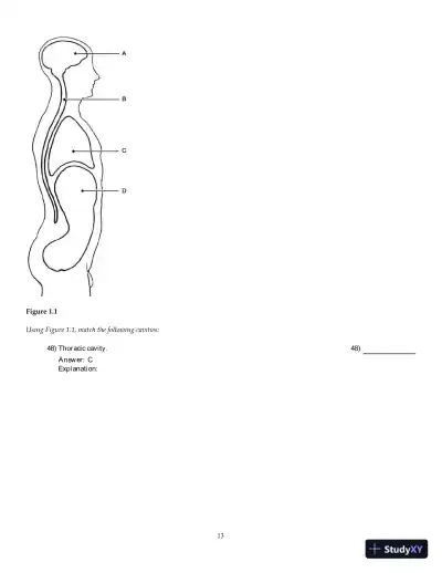Anatomy and Physiology 6th Edition Test Bank - Page 14 preview image