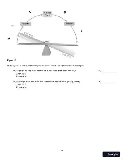 Anatomy and Physiology 6th Edition Test Bank - Page 15 preview image