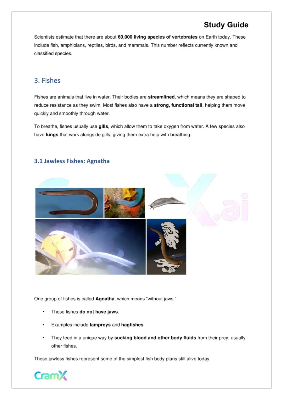 Biology - Animals Vertebrates, page 3