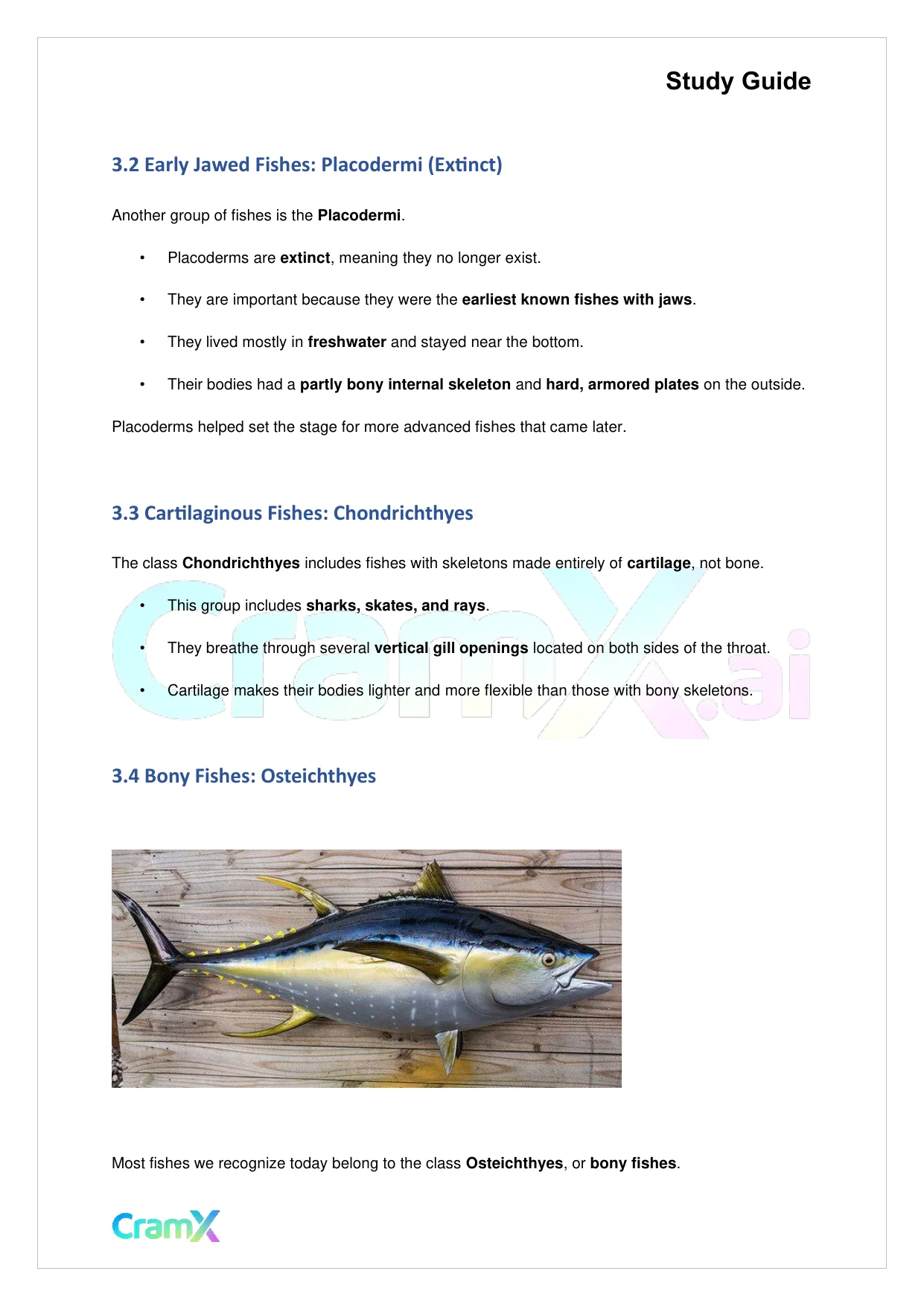 Biology - Animals Vertebrates - Page 4 preview image