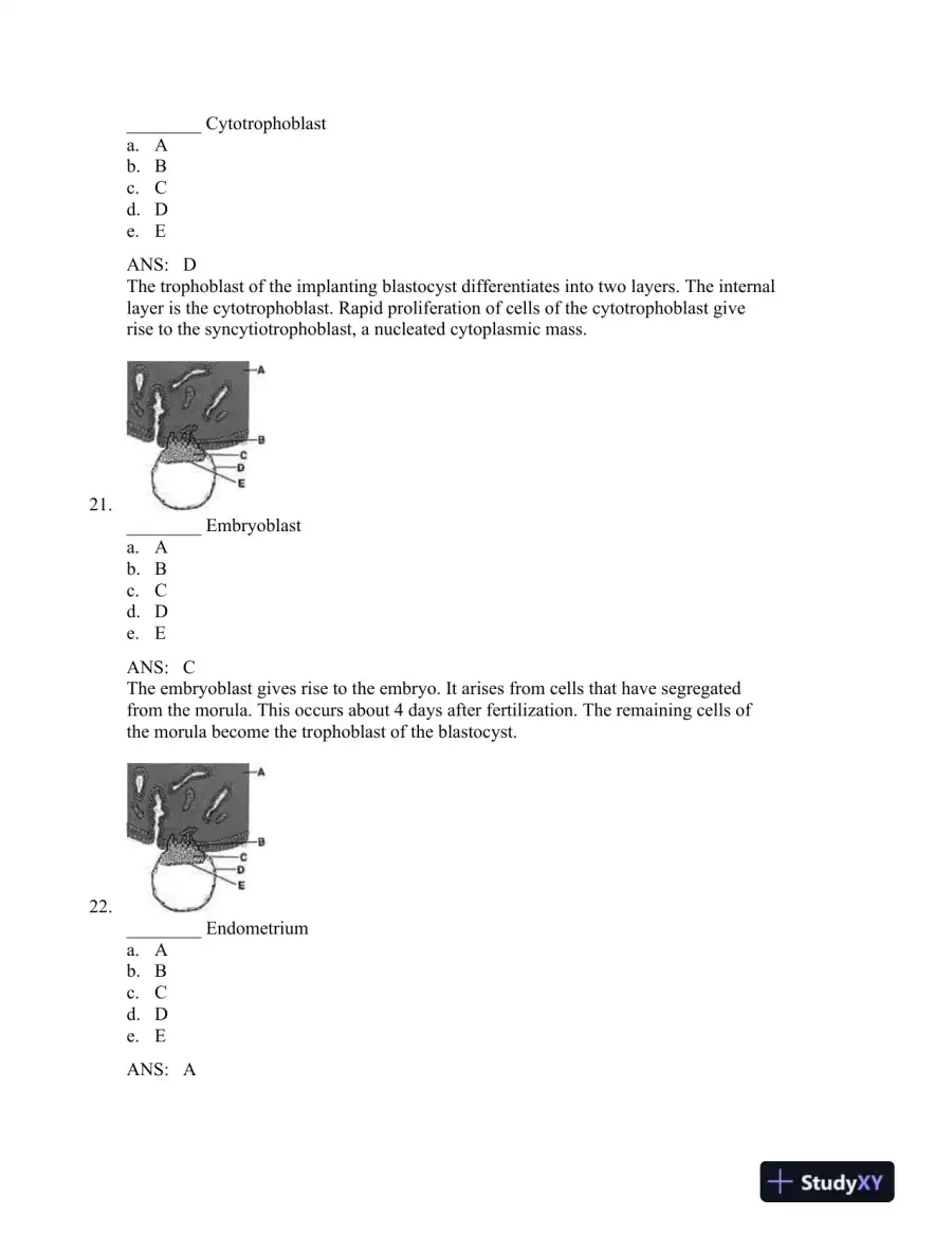 The Developing Human: Clinically Oriented Embryology, 9th Edition Test Bank, page 10