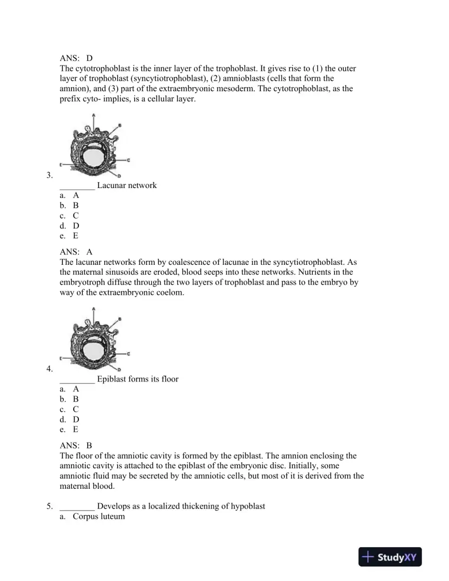 The Developing Human: Clinically Oriented Embryology, 9th Edition Test Bank, page 13