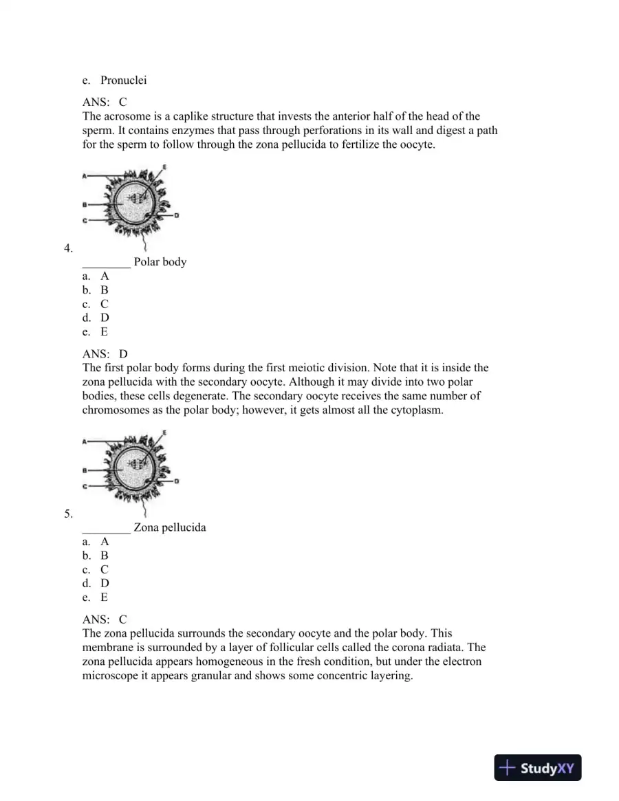 The Developing Human: Clinically Oriented Embryology, 9th Edition Test Bank, page 3