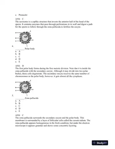 The Developing Human: Clinically Oriented Embryology, 9th Edition Test Bank - Page 3 preview image