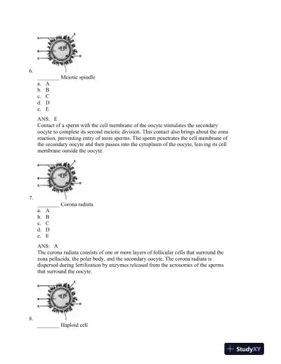 The Developing Human: Clinically Oriented Embryology, 9th Edition Test Bank - Page 4 preview image