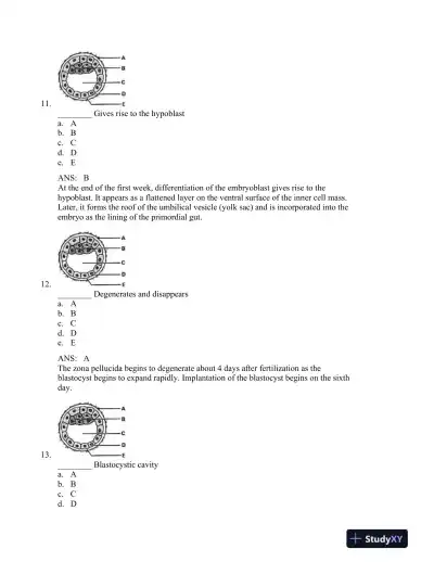 The Developing Human: Clinically Oriented Embryology, 9th Edition Test Bank - Page 6 preview image