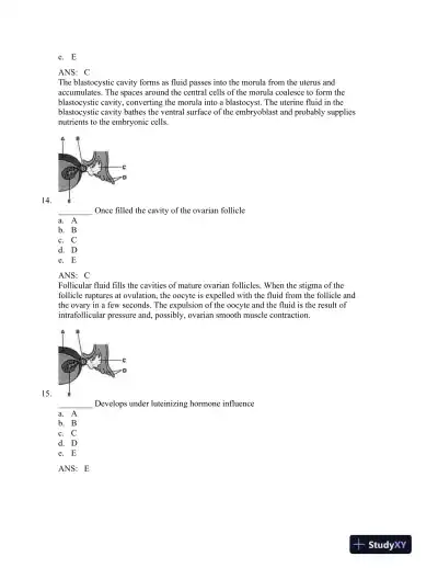 The Developing Human: Clinically Oriented Embryology, 9th Edition Test Bank - Page 7 preview image