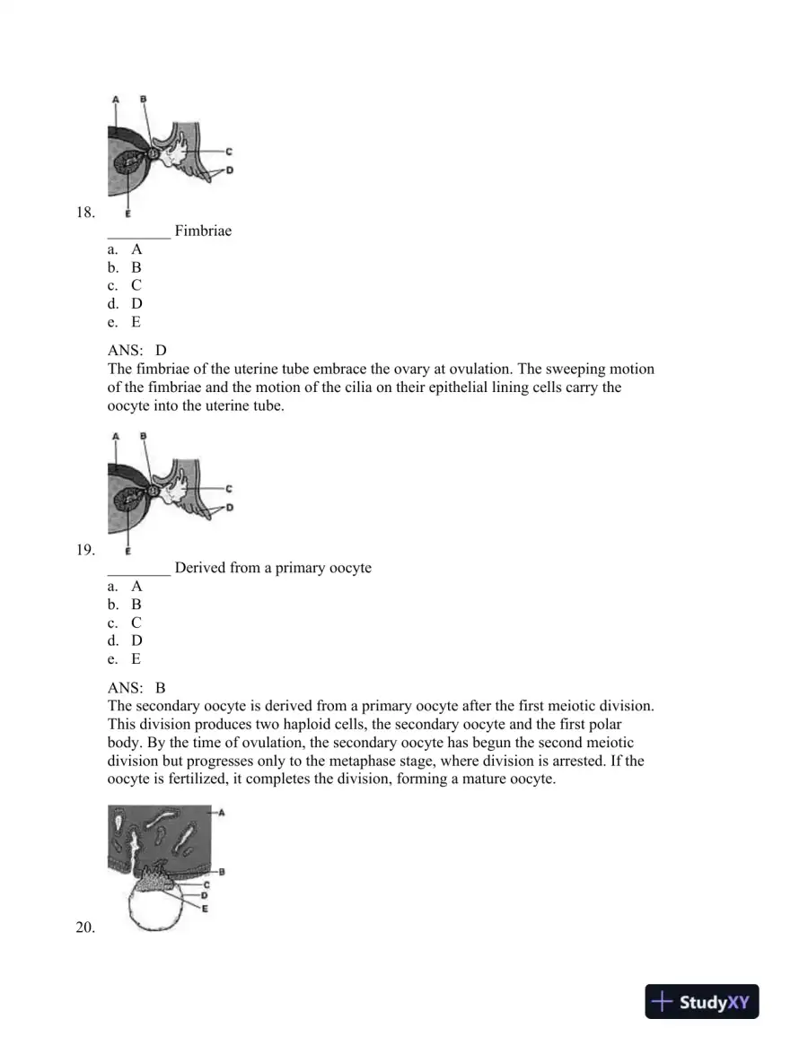 The Developing Human: Clinically Oriented Embryology, 9th Edition Test Bank, page 9
