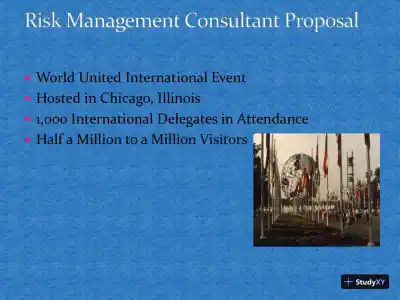 Risk Management Consultant Proposal - Page 3 preview image