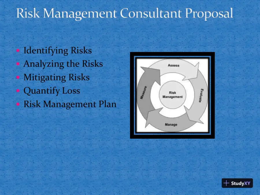 Risk Management Consultant Proposal, page 4
