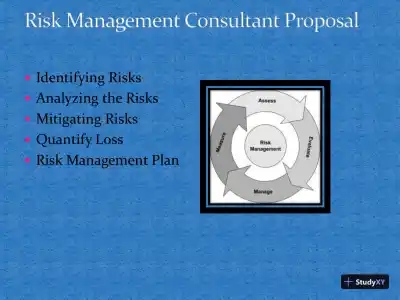 Risk Management Consultant Proposal - Page 4 preview image