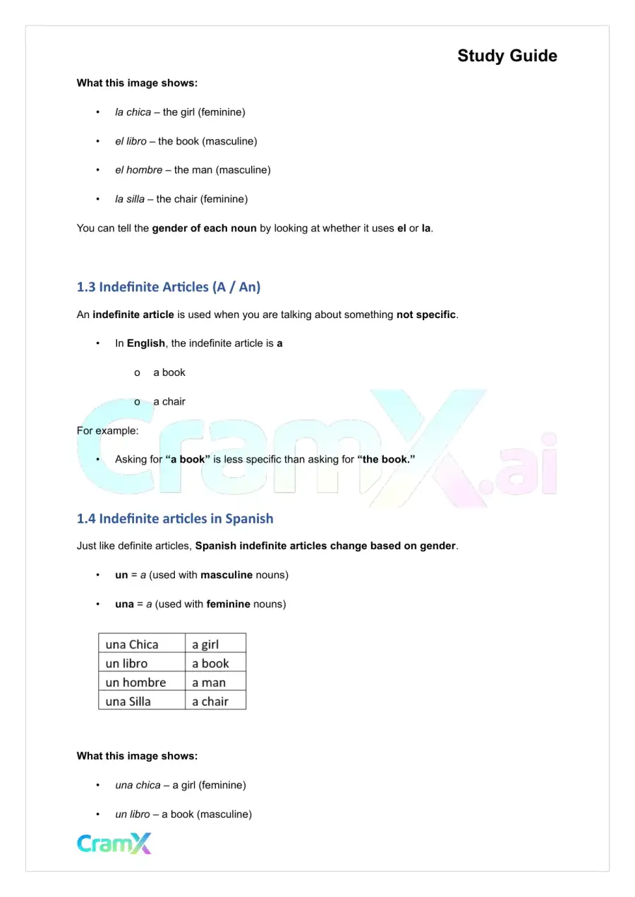 Spanish I - Gender Nouns and Articles, page 2