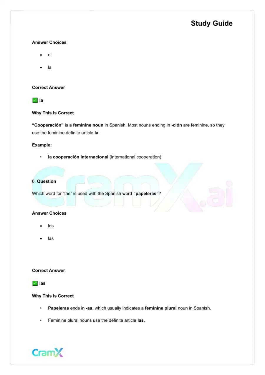 Spanish I - Gender Nouns and Articles, page 6
