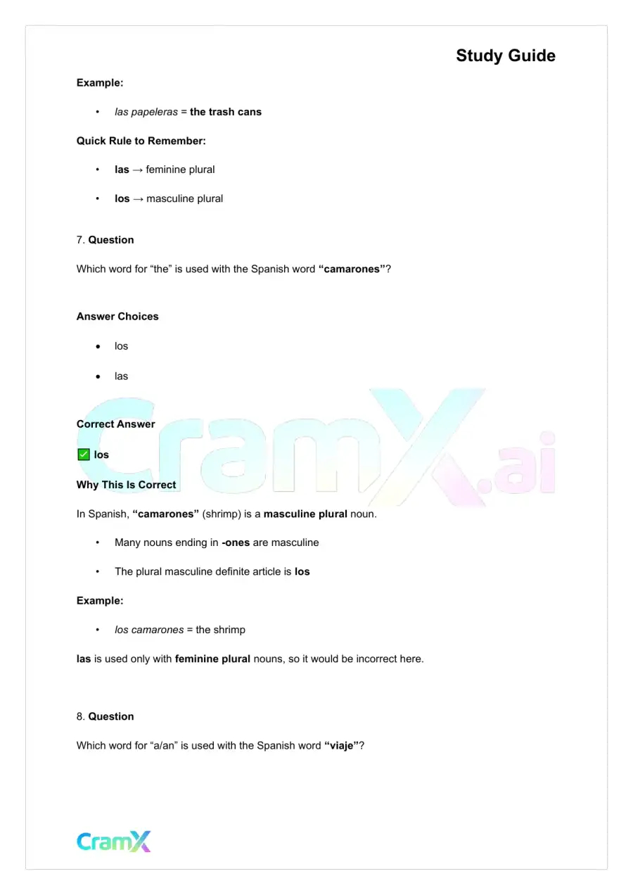 Spanish I - Gender Nouns and Articles, page 7