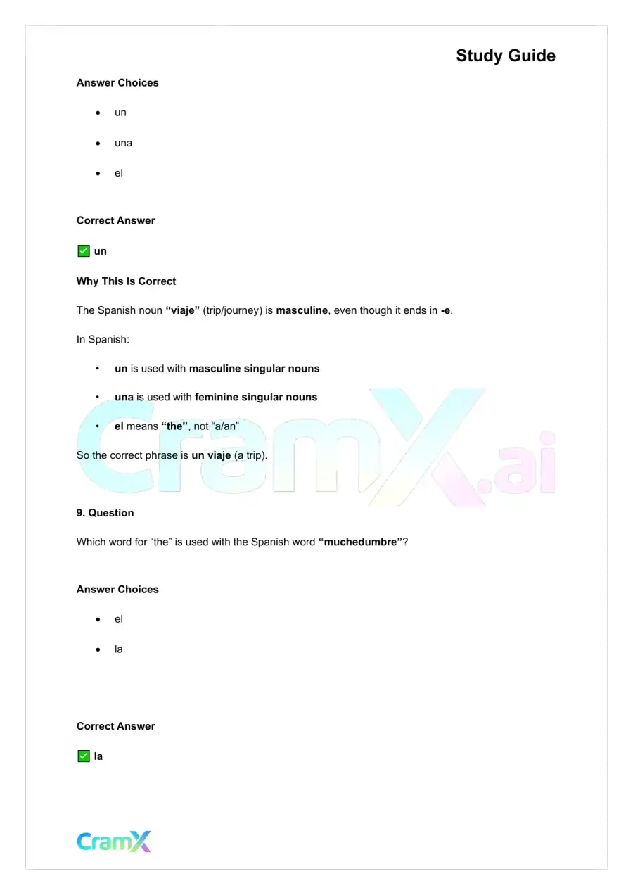 Spanish I - Gender Nouns and Articles, page 8