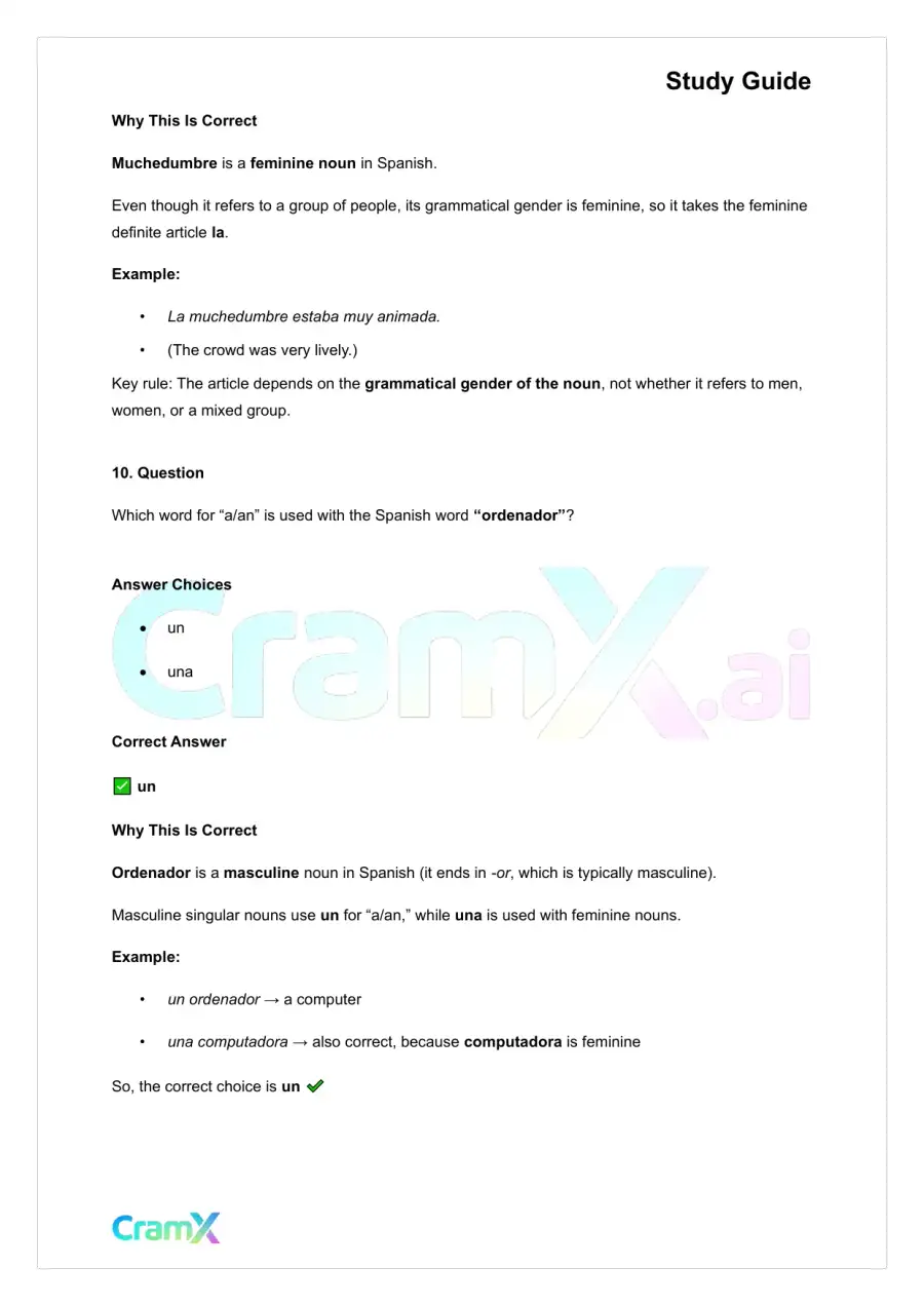 Spanish I - Gender Nouns and Articles, page 9