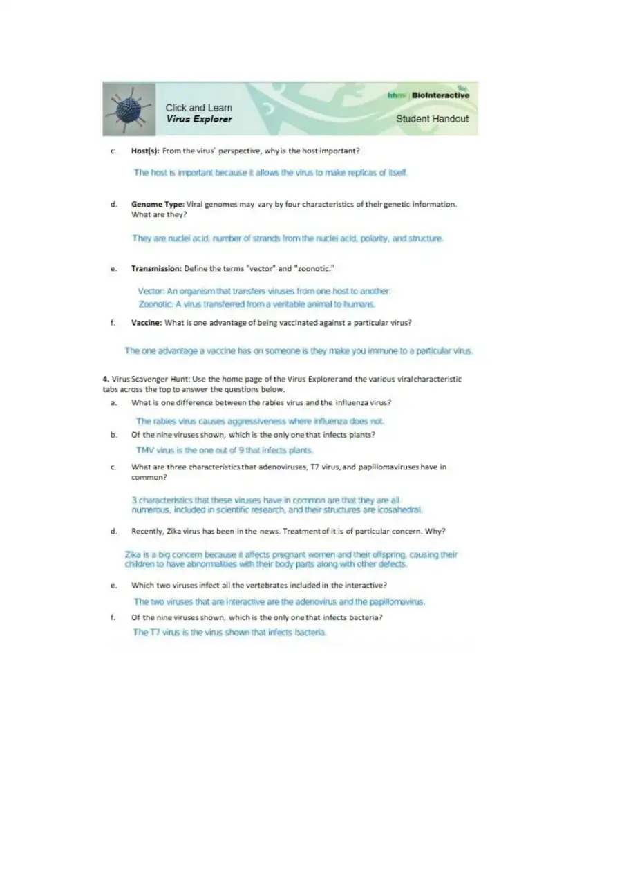 Virus-explorer-worksheet (1) 3, page 2