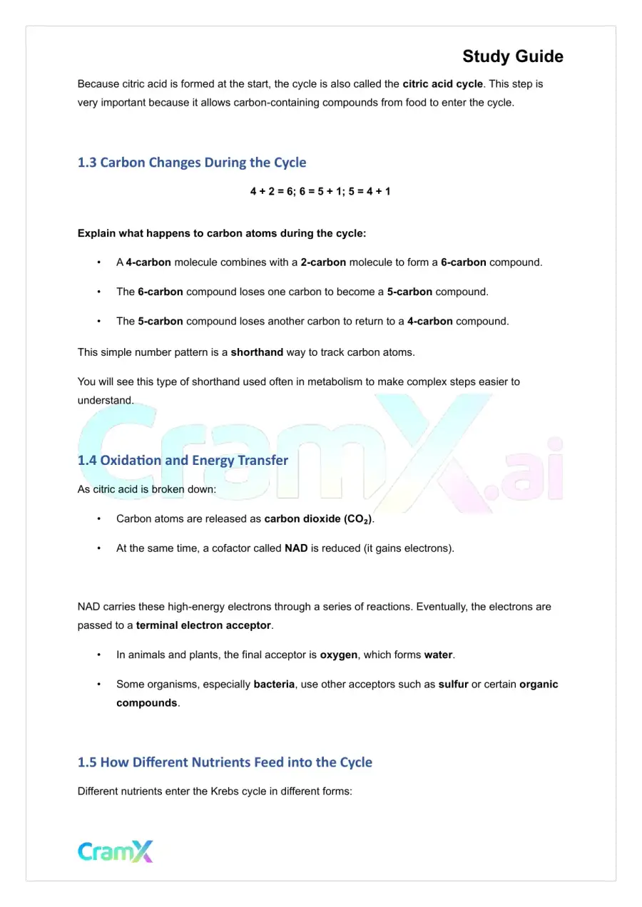 Biochemistry I - Organization of Metabolism, page 2