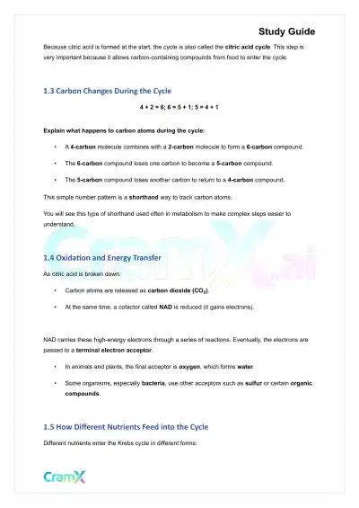 Biochemistry I - Organization of Metabolism - Page 2 preview image