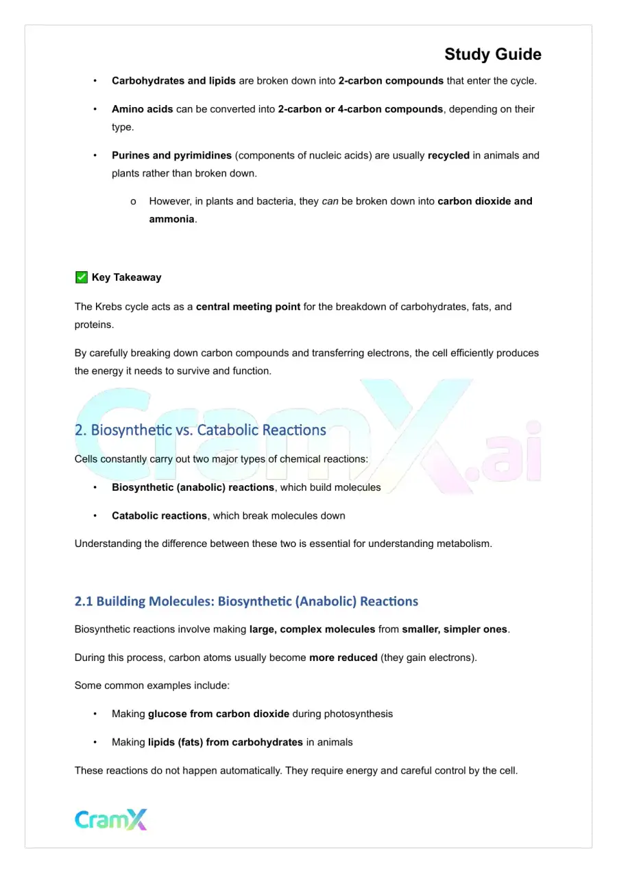 Biochemistry I - Organization of Metabolism, page 3