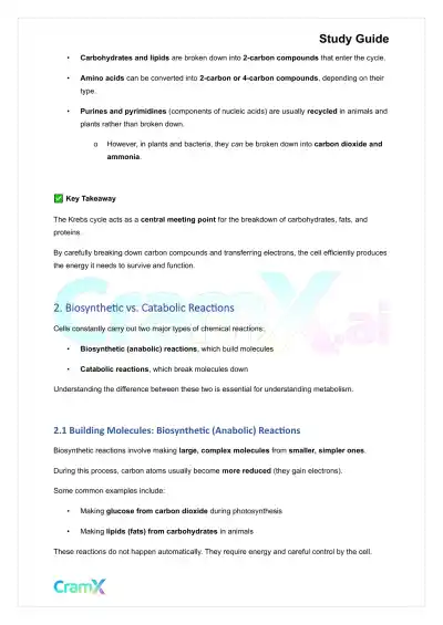 Biochemistry I - Organization of Metabolism - Page 3 preview image