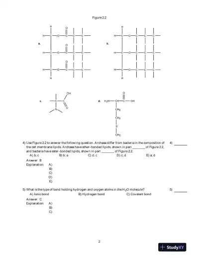 Microbiology, An Introduction , 10th Edition Test Bank - Page 16 preview image