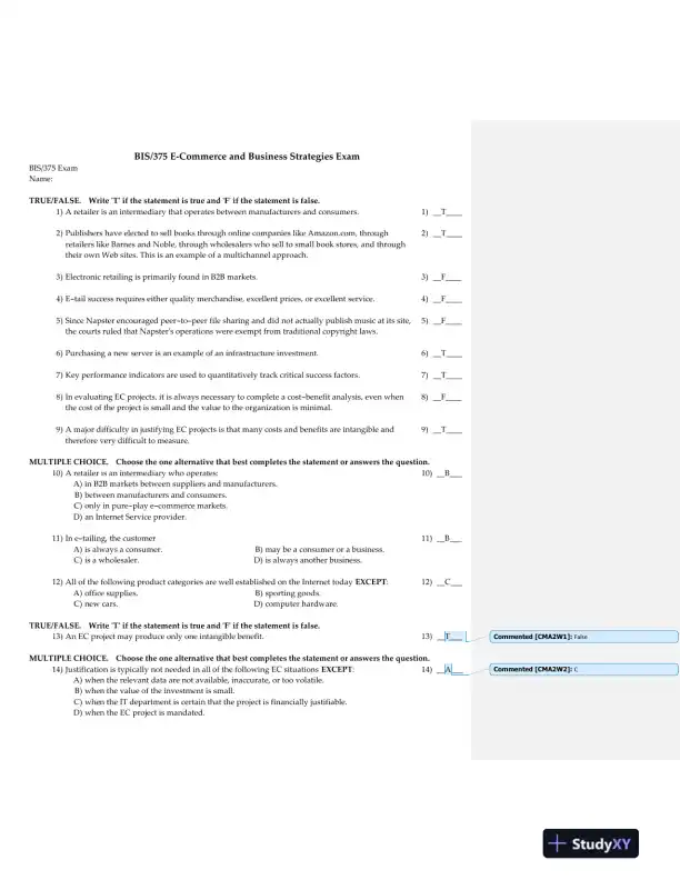 BIS/375 E-Commerce and Business Strategies Exam - Page 1 preview image