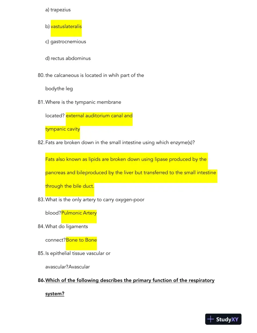 HESI Anatomy and Physiology A2 Comprehensive Real Exam With Answers (231 Solved Questions), page 13