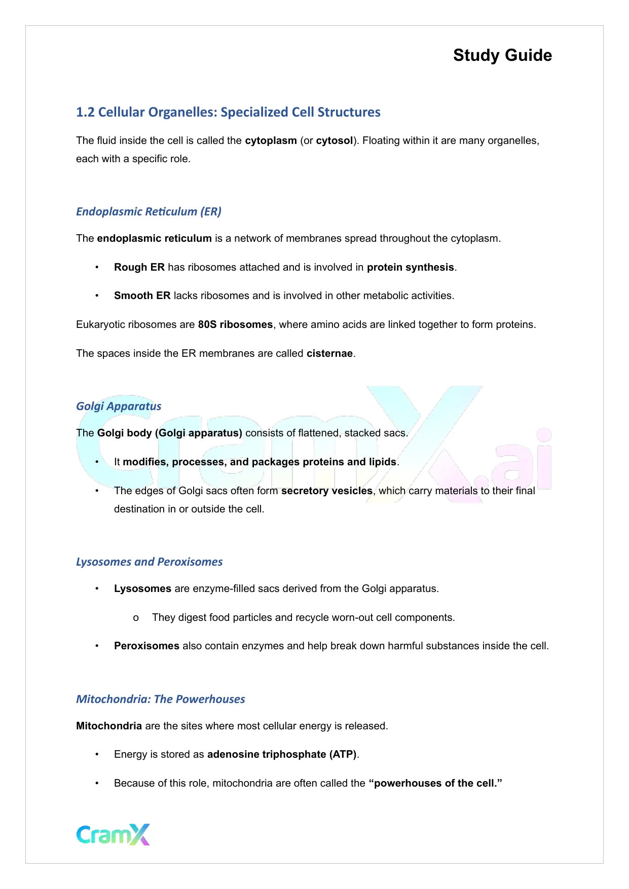 Microbiology - Prokaryotes and Eukaryotes - Page 2 preview image