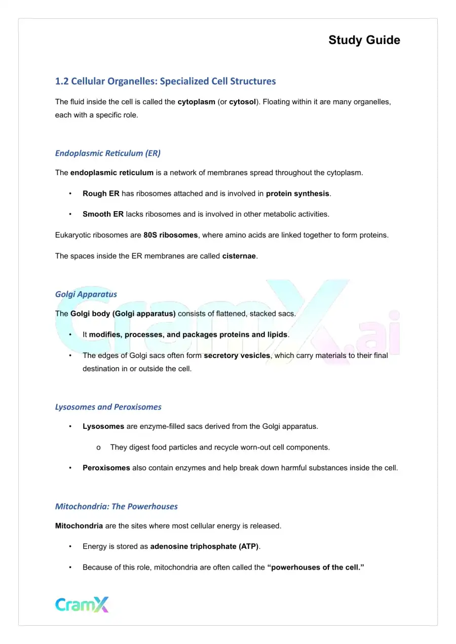 Microbiology - Prokaryotes and Eukaryotes, page 2