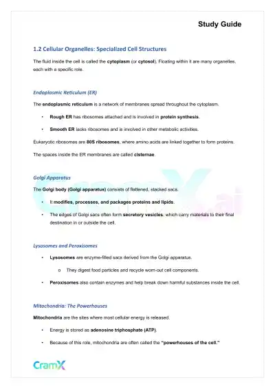 Microbiology - Prokaryotes and Eukaryotes - Page 2 preview image