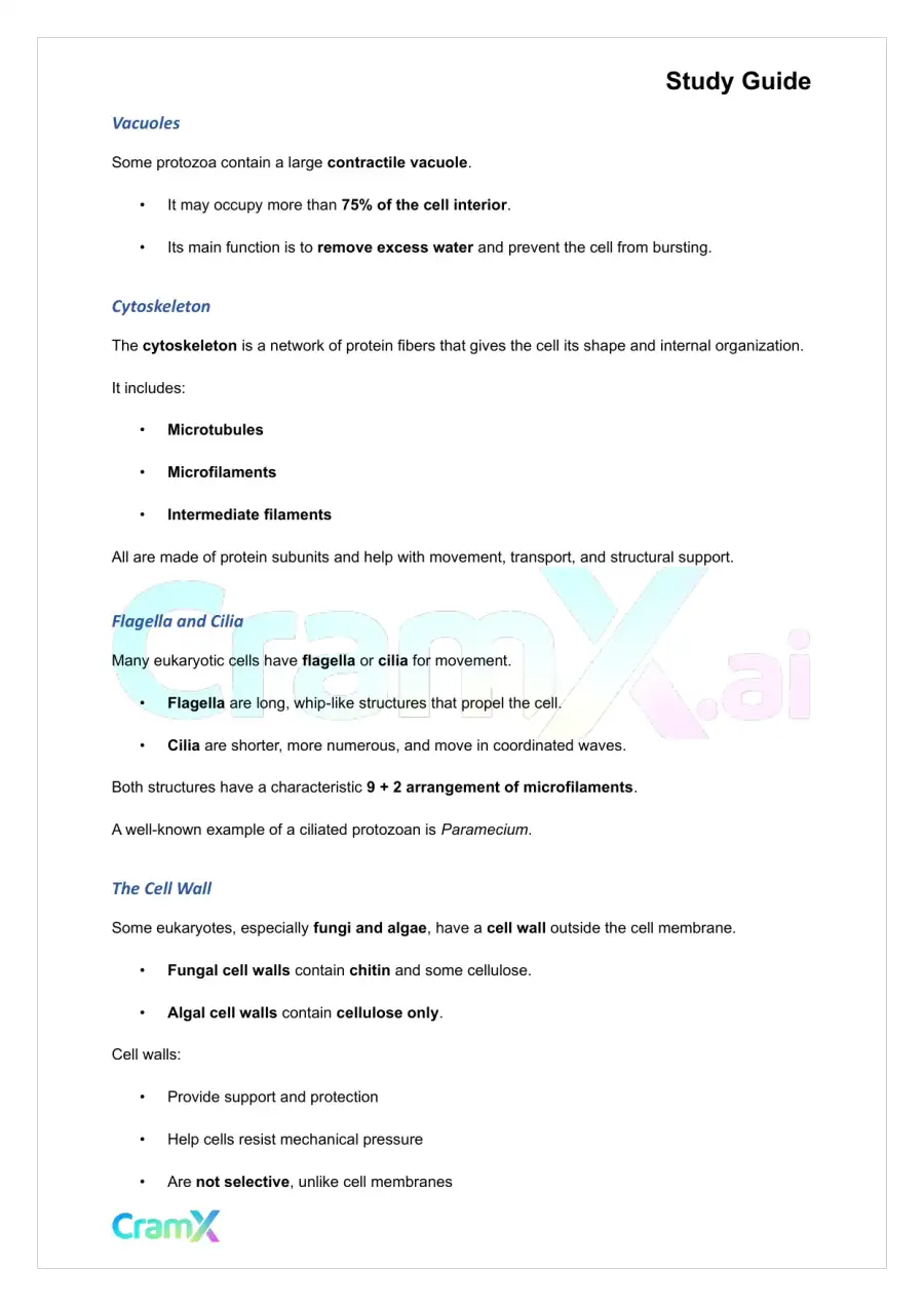 Microbiology - Prokaryotes and Eukaryotes, page 3