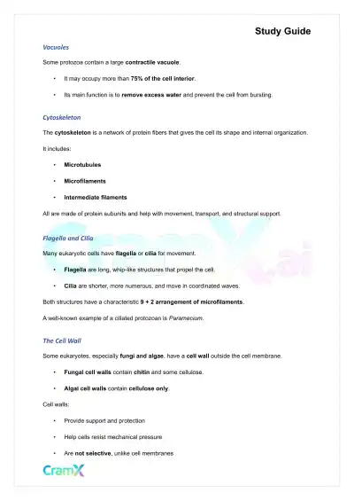 Microbiology - Prokaryotes and Eukaryotes - Page 3 preview image