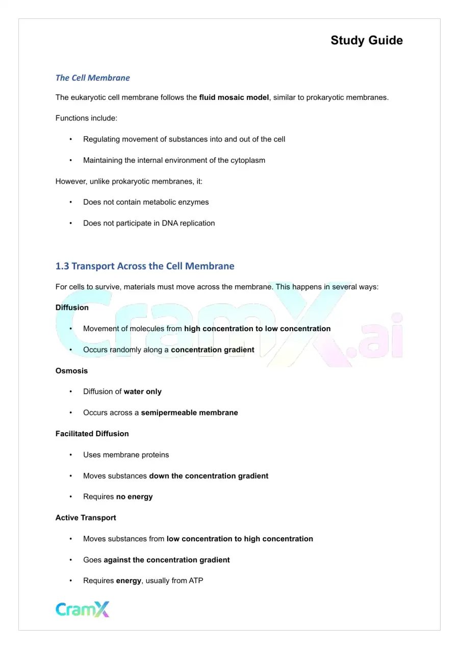 Microbiology - Prokaryotes and Eukaryotes, page 4