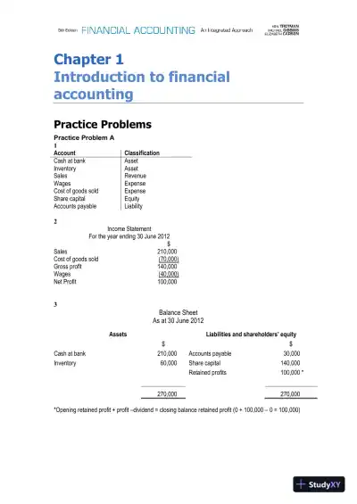 Financial Accounting: An Integrated Approach, 5th Edition Solution Manual - Page 1 preview image