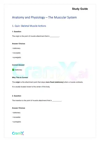Anatomy and Physiology - The Muscular System - Page 1 preview image