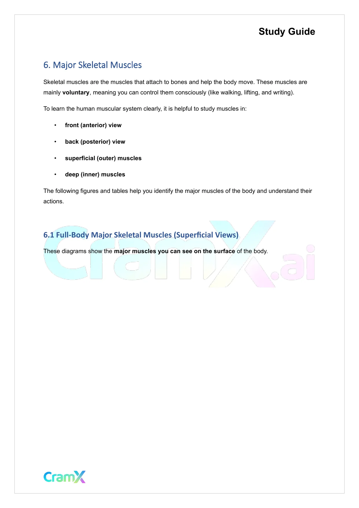 Anatomy and Physiology - The Muscular System - Page 10 preview image