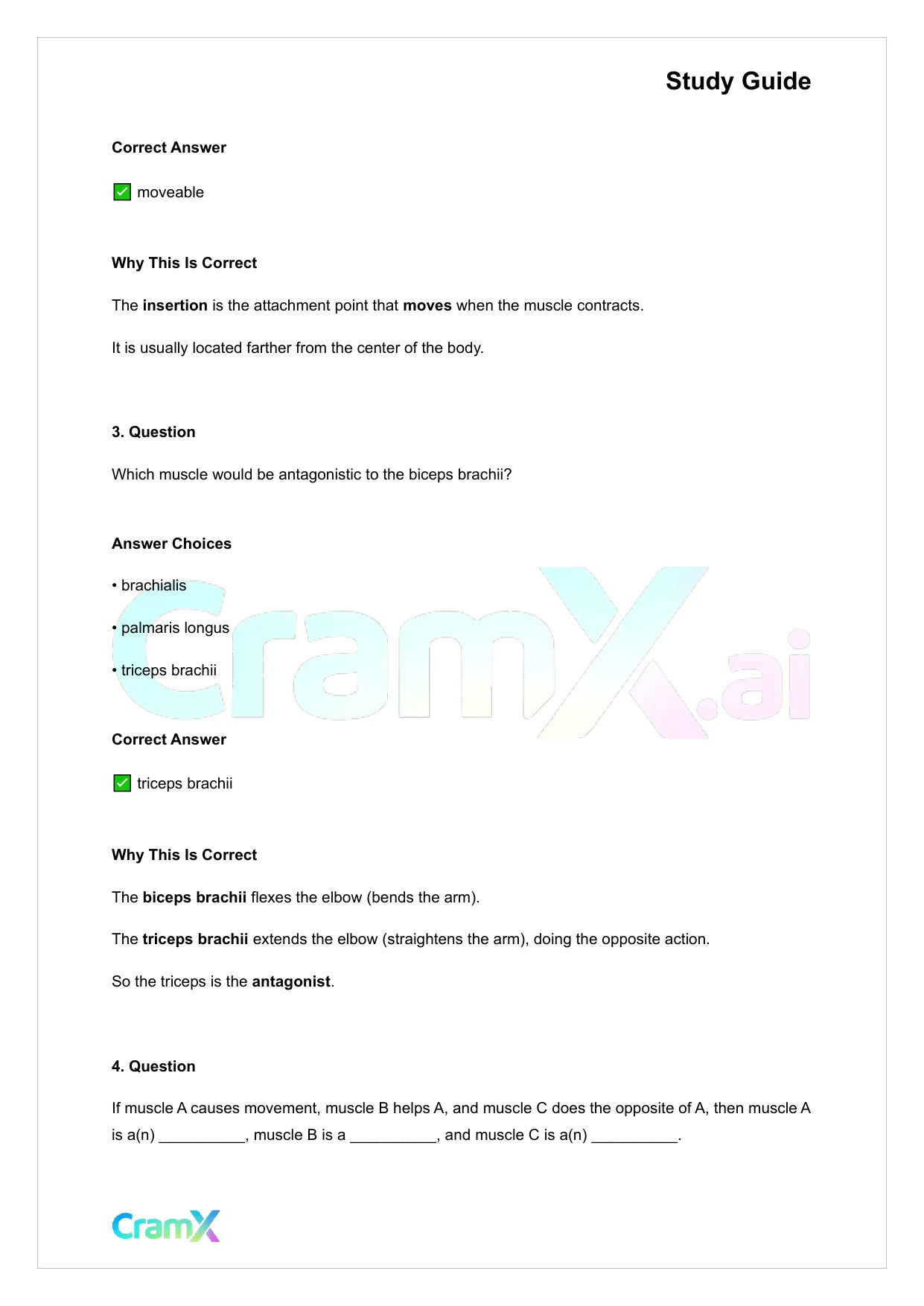 Anatomy and Physiology - The Muscular System - Page 2 preview image