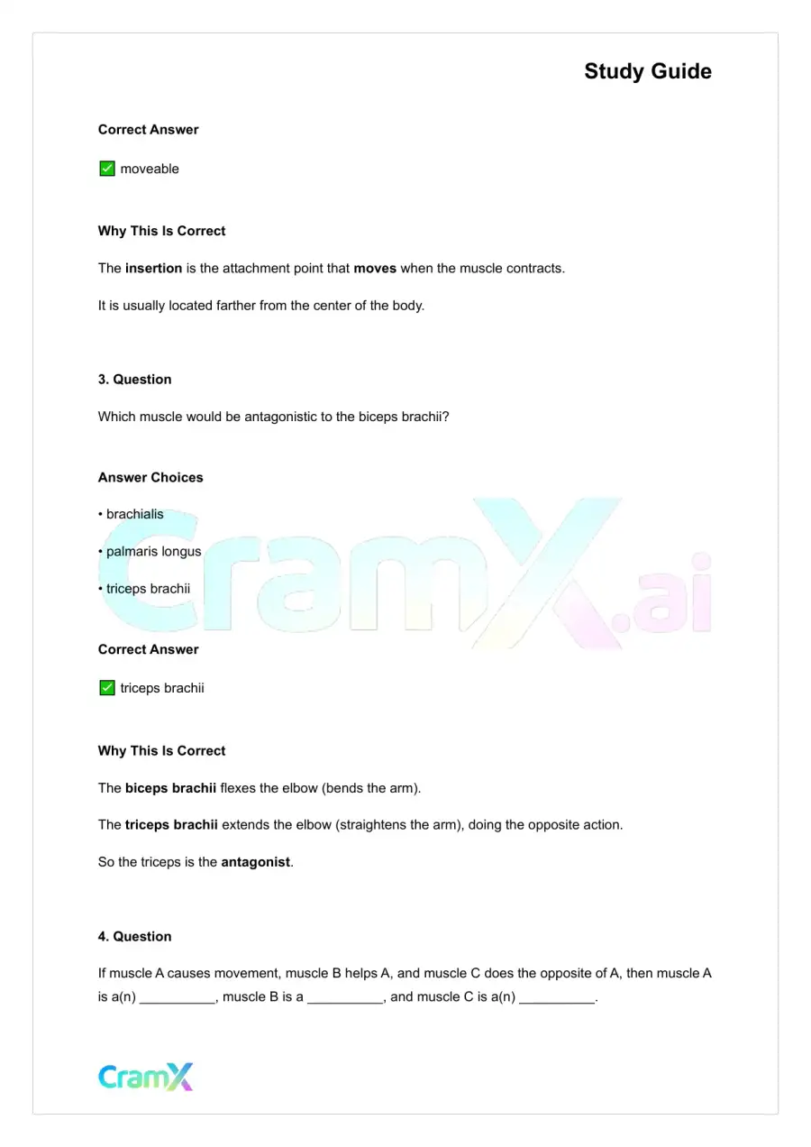 Anatomy and Physiology - The Muscular System, page 2