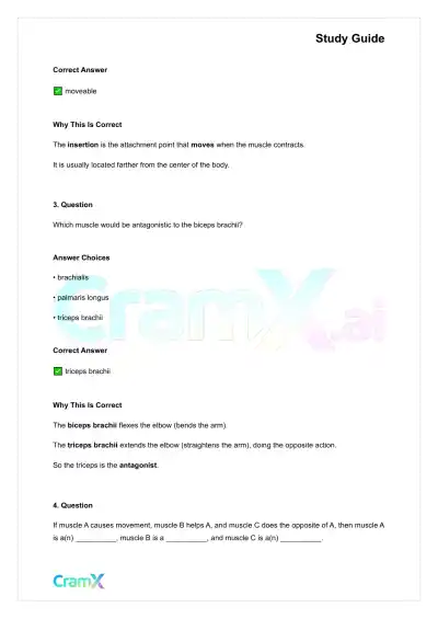 Anatomy and Physiology - The Muscular System - Page 2 preview image