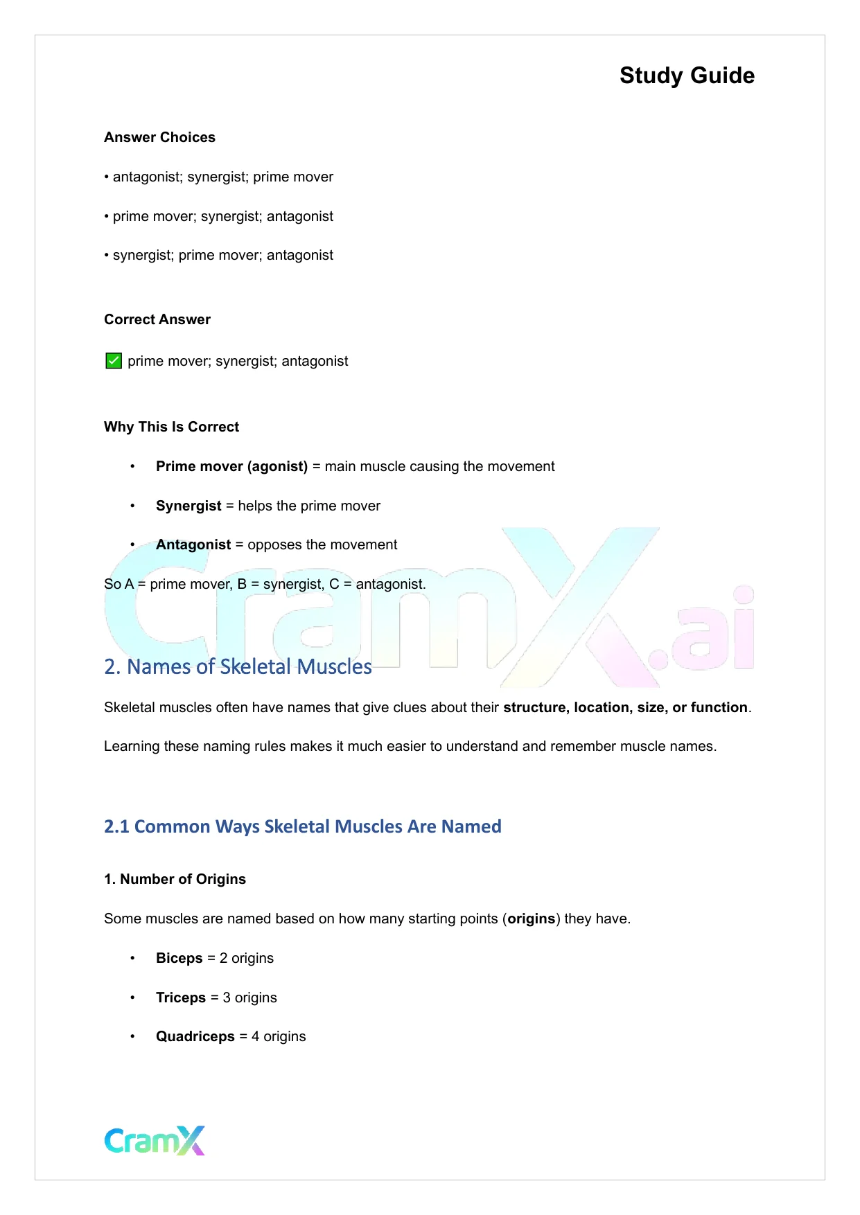Anatomy and Physiology - The Muscular System - Page 3 preview image