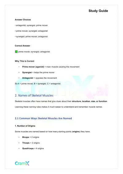 Anatomy and Physiology - The Muscular System - Page 3 preview image