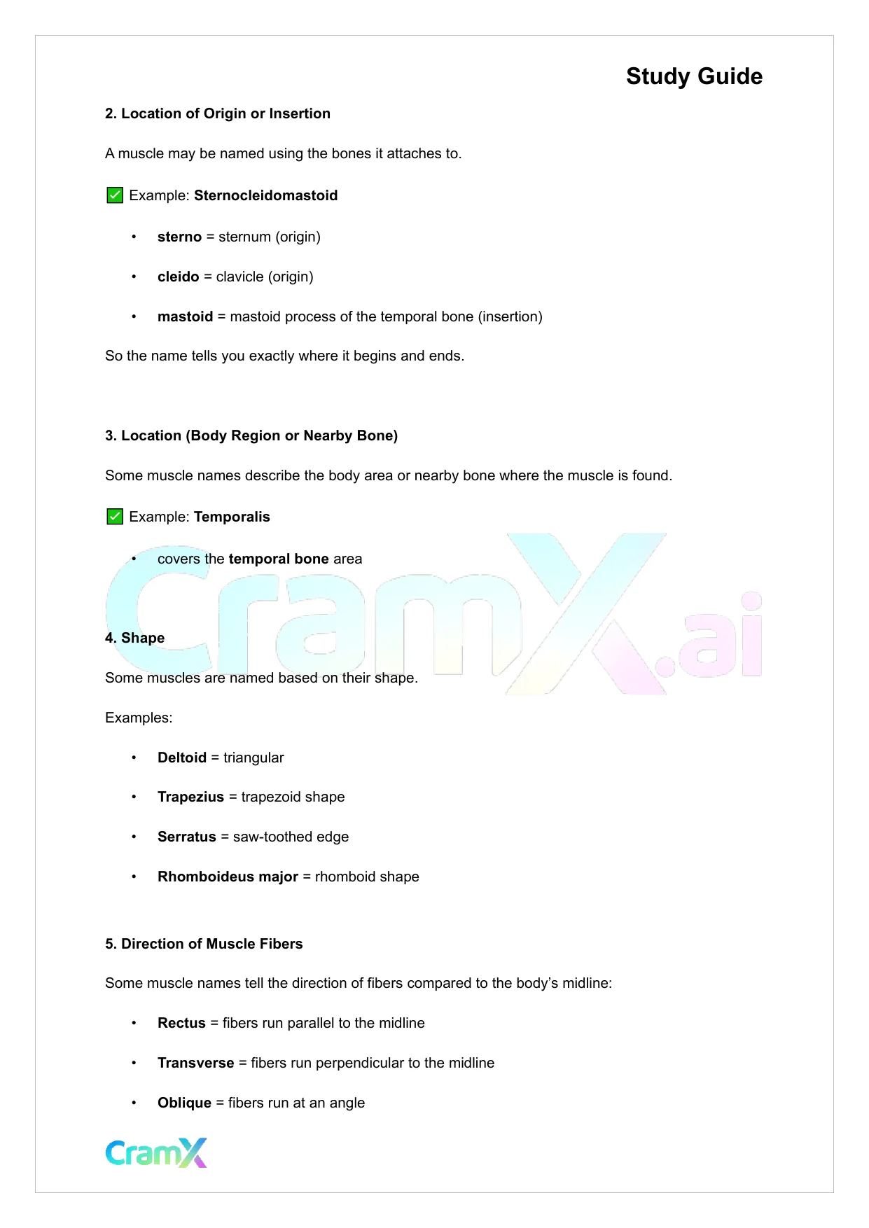 Anatomy and Physiology - The Muscular System - Page 4 preview image