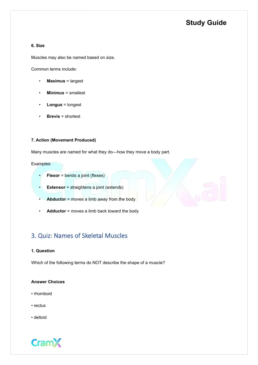 Anatomy and Physiology - The Muscular System, page 5